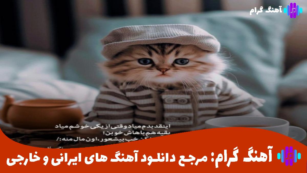 کاور آهنگ بر گیسویت ای جان کمتر زن شانه از بهزاد عیدیوند